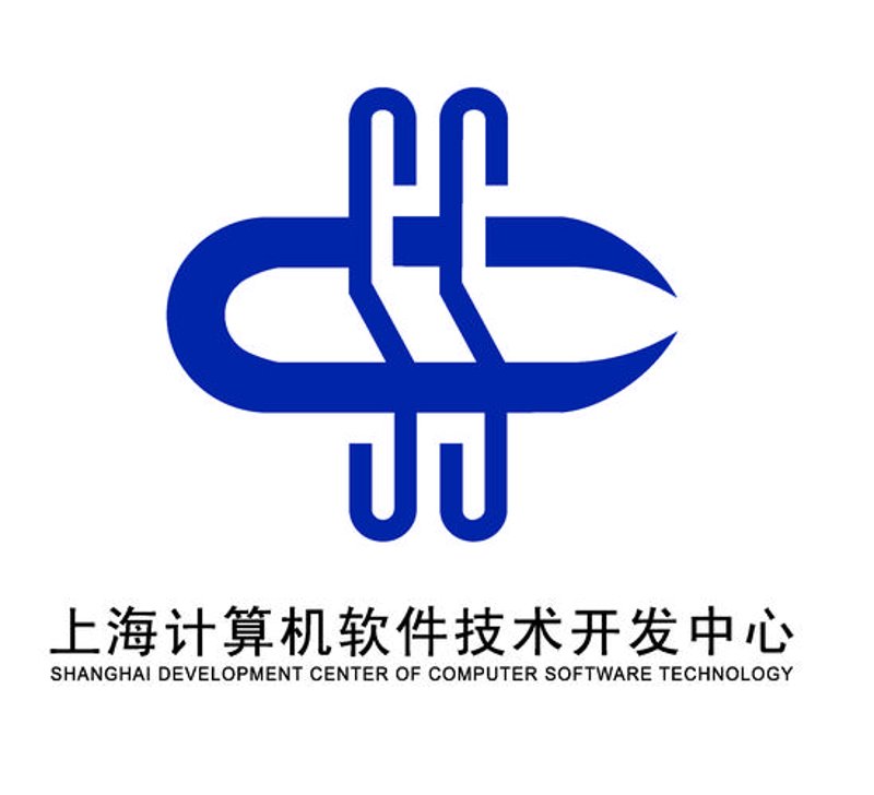 软件定制开发：企业数字化转型的新引擎